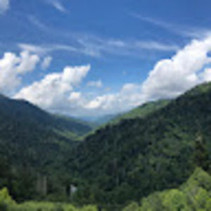 Meet your Posher, Edith